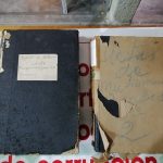 IMG_20250318_113816